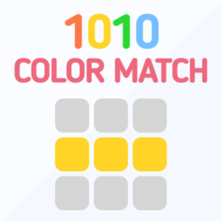 1010 color match
