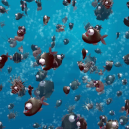 aquario